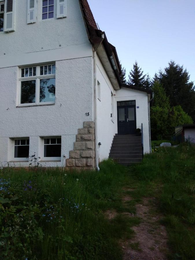 Villa Am See Бад-Закса Экстерьер фото
