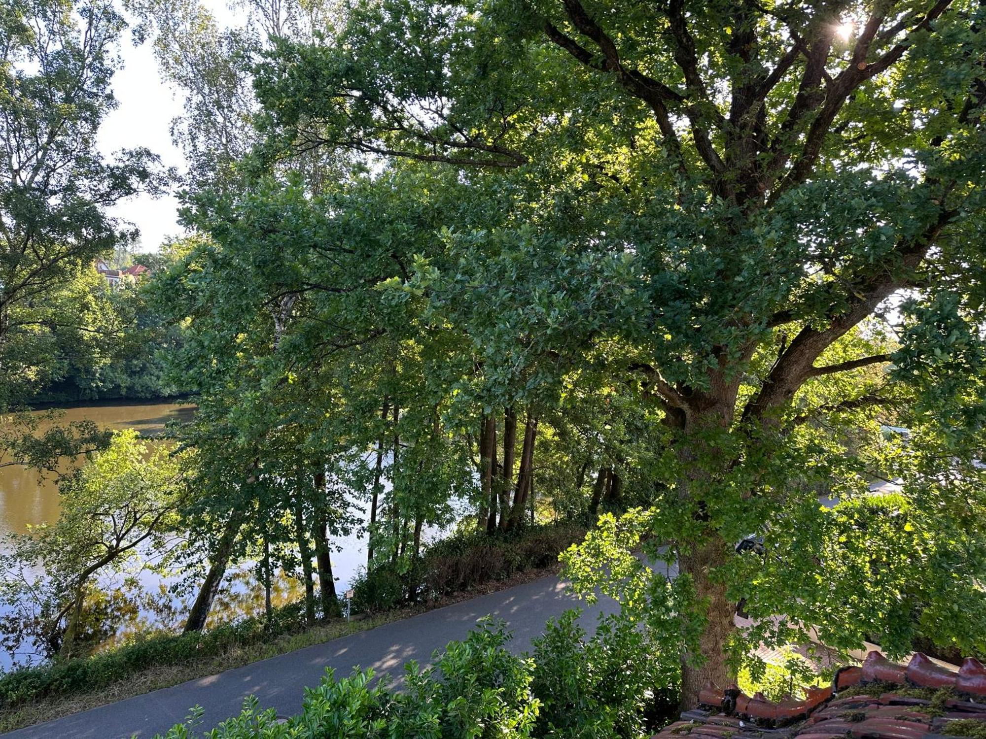 Villa Am See Бад-Закса Экстерьер фото
