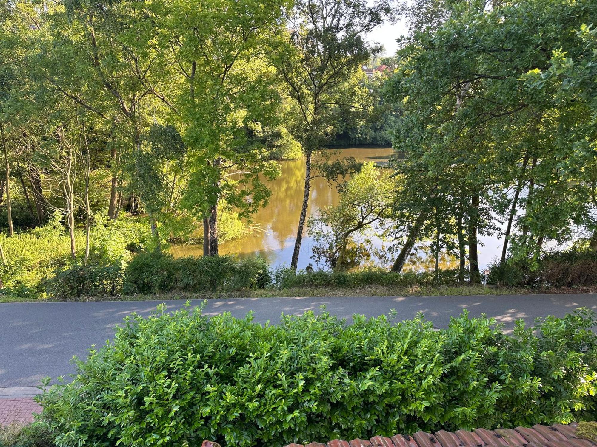 Villa Am See Бад-Закса Экстерьер фото